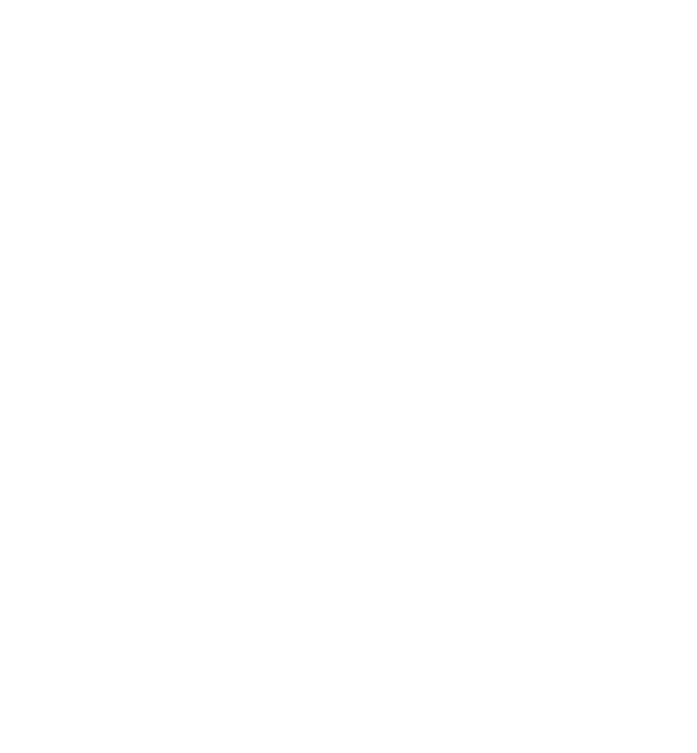 The image displays a circular emblem featuring an olive branch, which symbolizes peace, within two concentric circles. the text around the emblem reads "suomen palestiinalaissolid." this suggests that the emblem belongs to a finnish organization with a focus on solidarity with palestinians.